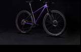 MCELO EVO One Carbon MTB Frame hai2